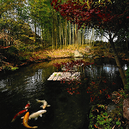 松花堂庭園・美術館