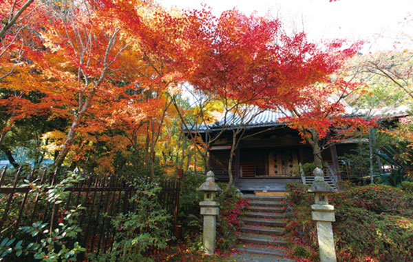 Zenporitsu-ji Temple