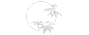 Yawata City Tourism Association Information