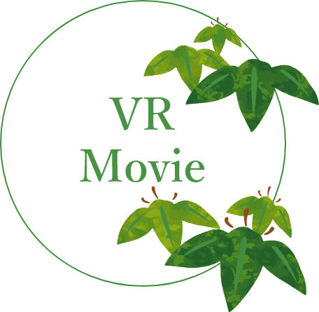 VR Movie