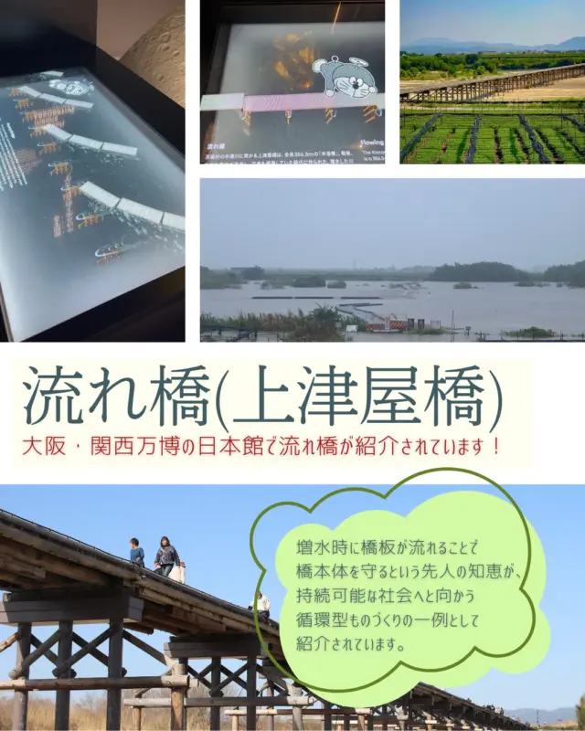 今日８月４日は語呂合わせで、「橋の日」だそうです。
ここ八幡市が誇る橋と言えば「流れ橋」！

全長356.5ｍ、幅員3.3ｍ、日本最長級の木造橋です。増水時の水の抵抗を減らすため、床板が浮き上がって流れる設計になっており、これが「流れ橋」の名の由来となっています。 
資源を無駄にせず、修理や修繕を積み重ねて長く使い続けるという「循環型ものづくり文化」の一例として、ただいま開催中の大阪関西万博の日本館でも紹介されていますよ♪

駅前観光案内所ではレンタサイクルの貸出も行っております🚲
やわた観光の際はぜひ訪れてみてくださいね🌟

#流れ橋
#橋の日
#大阪関西万博
#八幡市
#八幡市観光協会
‪#京都
#kyoto
#京都やわた図鑑
#やわふぉと
#yawata
#kyoto_yawastagram
#kyotophoto
#japan
#discoveryourkyoto