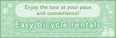 Bicycle Rentals