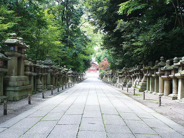 Lanterns on the path leading to the shrine