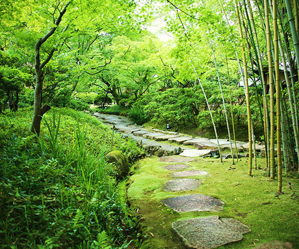 松花堂庭園・美術館