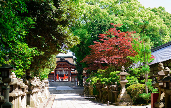 石清水八幡宮（青少年文化体育研修センター）清峯殿