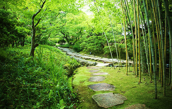 八幡市立松花堂庭園・美術館