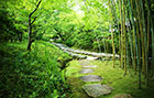 八幡市立松花堂庭園・美術館