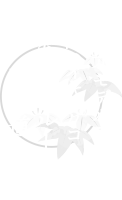 男山ハイキングコース①こもれびルート・表参道