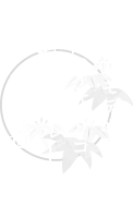 男山ハイキングコース①せせらぎルート・表参道