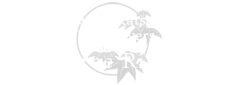 Three Rivers