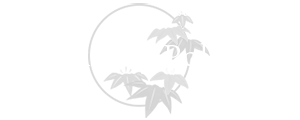 Privacy Policy