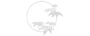 Area Information Hands-on Experiences/Lodging