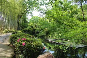 松花堂庭園・美術館