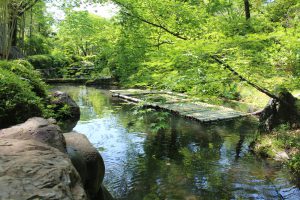 松花堂庭園・美術館
