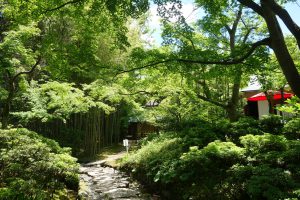 松花堂庭園・美術館