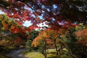 松花堂庭園・美術館