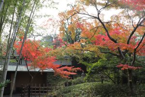 松花堂庭園・美術館