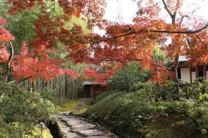 松花堂庭園・美術館