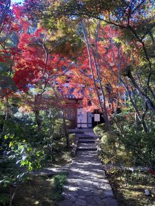 善法律寺