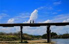 流れ橋（上津屋橋）