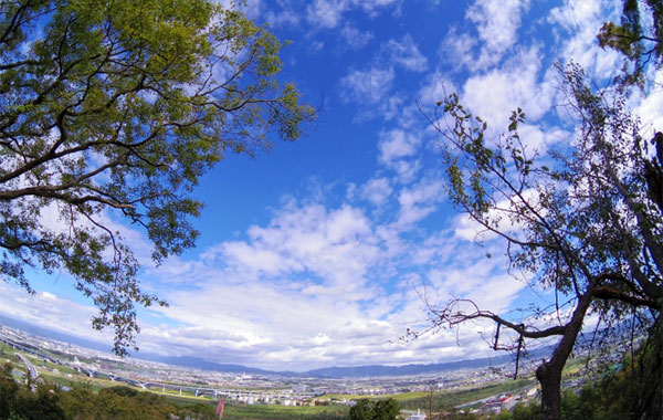 男山展望台