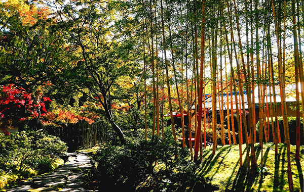 松花堂庭園・美術館