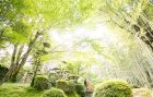 松花堂庭園・美術館