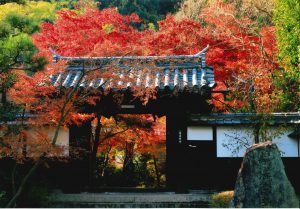 善法律寺