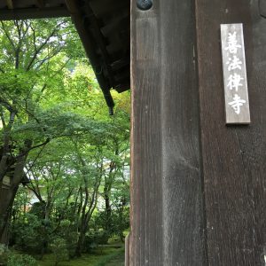 善法律寺