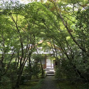 善法律寺
