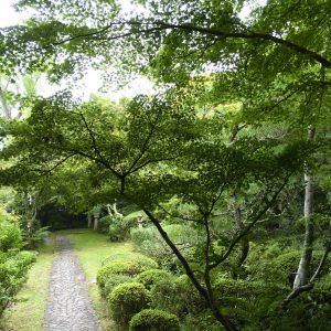 善法律寺