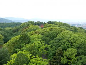 石清水八幡宮