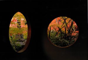 フォトコンテスト2018入選作品(第28回）