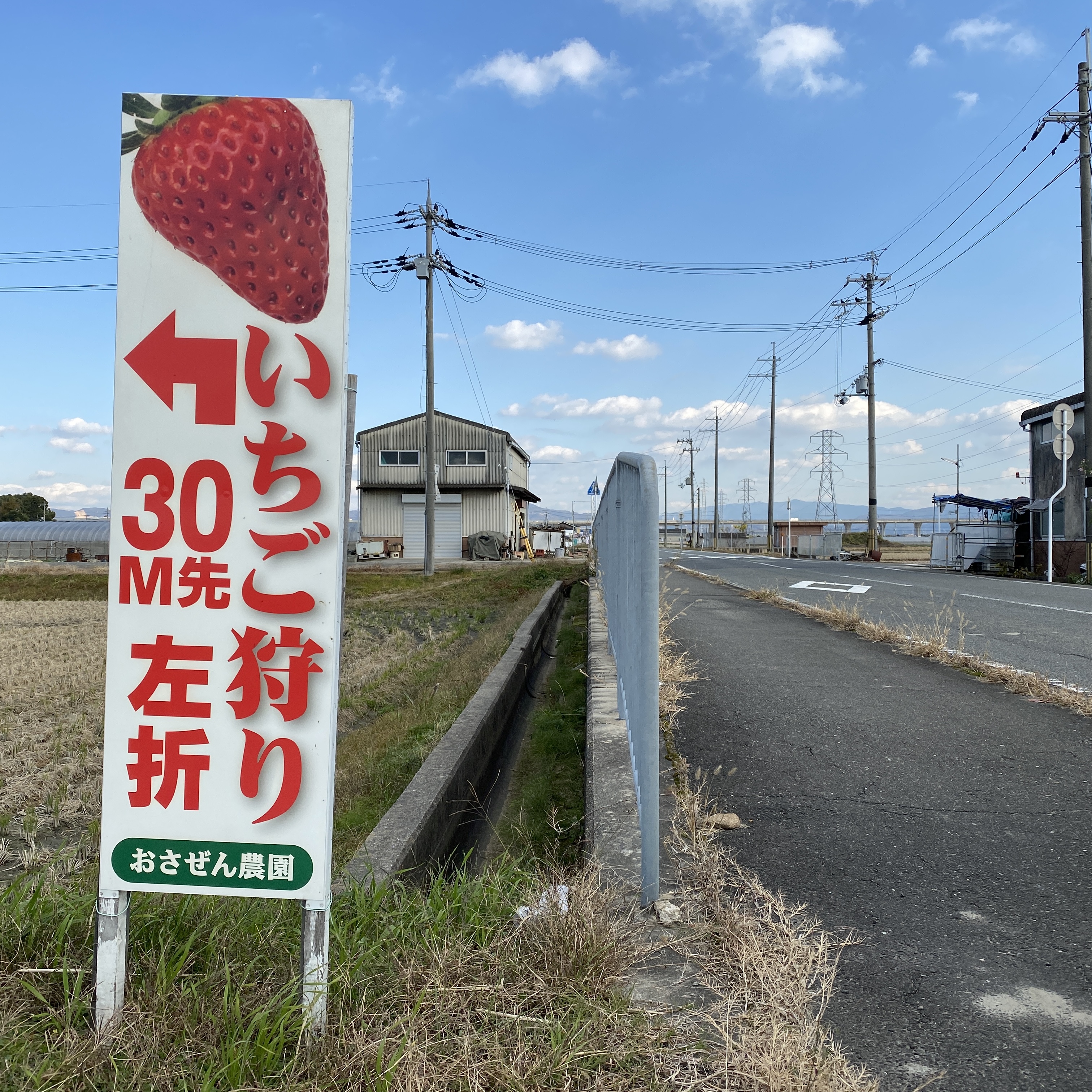 いちご お さ ぜん 狩り 農園 おさぜん農園｜eoおでかけ