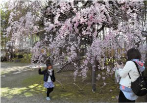 フォトコンテスト2020入選作品(第30回）