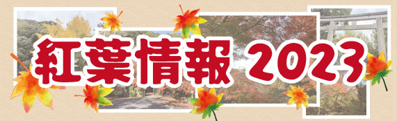 紅葉情報2023