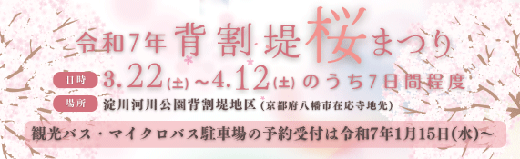 令和7年背割堤さくらまつり開催のお知らせ