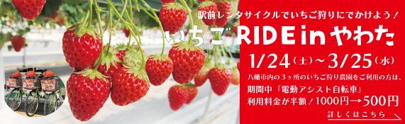 いちごRIDE 2026