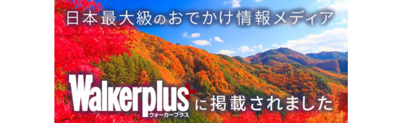 ウォーカープラス