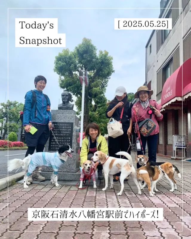 5月25日㊐、昨日の雨が上がり、曇り空の八幡市。
写真は、休日を利用して、愛犬たちと八幡市へお越しくださったみなさん。
これから、ワンコたちと表参道を歩いて石清水八幡宮に向かわれるそう。
麓から続く参道や境内はワンコOKですが、国宝の御本殿がある南総門内では、ワンコは、抱っこかゲージに入れていただくことがマナーです。
楽しい休日となりますように。

#京阪電車石清水八幡宮駅
#ビーグル
#ワンコlove
#八幡市
#八幡市観光協会
‪#京都‬
#kyoto
#京都やわた図鑑
#やわふぉと
#yawata
#kyoto_yawastagram
#kyotophoto