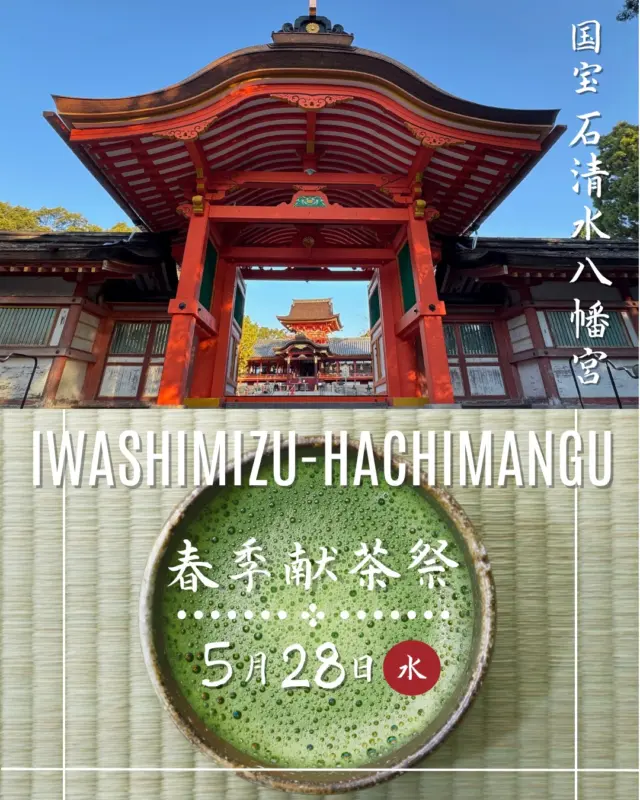 明日5月28日㊌石清水八幡宮にて、同宮献茶講主催による「春季献茶祭」が斎行されます。
当日は、11時からご本殿にて、都山流尺八楽会による秘曲「岩清水」が奉奏され、表千家宗匠のお点前によって濃茶・薄茶が御神前に奉納されます。
境内各所には茶席が設けられ、各席でお抹茶や新茶のはしりのお煎茶を味わうことができます。
茶券5,000円は、境内のおふだお守り授与所で当日の販売もあり、どなたでも参加可能。
献茶祭参列、拝服席、福席①、福席②、煎茶接待席、ケーブル割引が付く充実の内容となっていますので、ぜひご参拝ください。

【石清水八幡宮 春季献茶祭】
5月28日（水）
時間／献茶祭：11時～12時頃、茶席：10時～15時頃
場所／御本殿（祭典・献茶式）および境内各所（茶席）
茶券／1枚5,000円（献茶祭参列・拝服席・副席①・副席②・煎茶接待席・男山ケーブル割引）のセット券
購入場所／境内おふだ・お守り授与所

@iwashimizuhachimangu_grace 
#石清水八幡宮 
#八幡市 
#八幡市観光協会 
‪#京都 
#kyoto 
#京都やわた図鑑 
#やわふぉと 
#yawata 
#kyoto_yawastagram 
#kyotophoto 
#japan 
#discoveryourkyoto