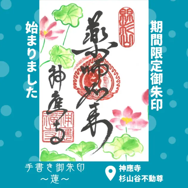 神應寺にて、今日7/18から新しい御朱印が授与されます。
春の筍、梅雨の時期の紫陽花に続いて今回の手書き御朱印は蓮の花が描かれています。
御朱印は想いを込めてひとつひとつ手書きで描いたものだそう。
御朱印の授与は10時～15時まで杉山谷不動尊にて授与されています。
ご希望の方はぜひご参拝ください。

【手書き御朱印】
・ご朱印料　800円
・授与時間　10時～15時
・授与場所　杉山谷不動尊

@hofukuji_jinnouji

#神應寺
#杉山谷不動尊
#蓮
#御朱印
#御朱印巡り
#八幡市
#八幡市観光協会
‪#京都‬
#kyoto
#京都やわた図鑑
#やわふぉと
#yawata
#kyoto_yawastagram
#kyotophoto
#japan
#discoveryourkyoto