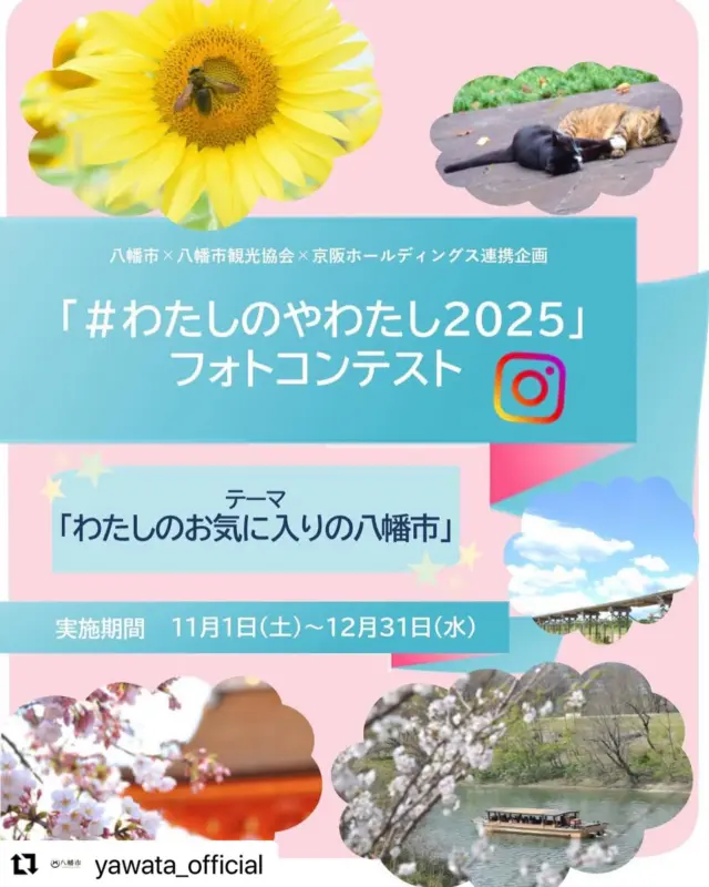 八幡市・八幡市観光協会・京阪ホールディングスのInstagram連携企画「#わたしのやわたし2025」フォトコンテスト開催中‼︎
みなさんの投稿をお待ちしています‼︎

#Repost @yawata_official with @use.repost
・・・
八幡市は八幡市観光協会、京阪ホールディングス株式会社と連携し、「#わたしのやわたし2025」フォトコンテストをインスタグラムで開催します✨

今回は、「わたしのお気に入りの八幡市」をテーマに2025年に八幡市で撮影した写真を募集🎵投稿内容は、景色・食べ物・人物・動物等なんでもOKです！

実施期間終了後、入賞作品等を決定し、市アカウント等で紹介するほか、入賞作品の投稿者および抽選の当選者に特典を送付します☺🎁

皆さんの素敵な作品の投稿をお待ちしています🎵

【期間】令和7年11月1日（土）～12月31日（水）

【参加手順】
①インスタグラムで市アカウント「@yawata_official」、観光協会アカウント「@yawata.kankou」の両方をフォロー

②「わたしのお気に入りの八幡市」（被写体は景色・食べ物・人物・動物等なんでもOK!）をテーマにした写真を八幡市内で撮影

③写真のタイトルをキャプションに記入

④ハッシュタグ「#わたしのやわたし2025」「#やわふぉと」の両方を付ける

⑤「@yawata_official」を写真にタグ付けし、企画参加者のインスタグラムアカウント内に期間内に投稿

※人物等が写り込む場合、本人の承諾を得て、企画の趣旨をご理解いただいたうえで撮影、投稿を行ってください。

【特典】
　　京阪賞(１点)、大賞(１点)、特別賞(９点)を決定し、下記特典を贈呈
<京阪賞>
・ホテル京阪 京橋 グランデ「ロレーヌ」ランチビュッフェ ペアお食事券
・京阪オリジナル記念品（京阪HD提供）
・観光協会オリジナルグッズ
<優秀賞>
・ヤワタカラ認定商品詰め合わせ（松）
・京阪オリジナル記念品
・観光協会オリジナルグッズ
＜特別賞＞
（優秀作）
・ヤワタカラ認定商品詰合せ（竹）
・京阪オリジナル記念品
・観光協会オリジナルグッズ
（佳作）
・ヤワタカラ認定商品詰め合わせ（梅）　 
・京阪オリジナル記念品

※入賞作品は、広報やわたの表紙に掲載のほか、市庁舎や石清水八幡宮駅前展示棟で展示予定。
また、参加者の中から抽選で10人にヤワタカラ認定商品などをプレゼント🎁

参加規約等詳細は本アカウントプロフィール画面のＵＲＬから八幡市ホームページをご覧いただくか、八幡市役所秘書広報課（☎075-983-1087）（☎075-983-3893）までお問い合わせください。