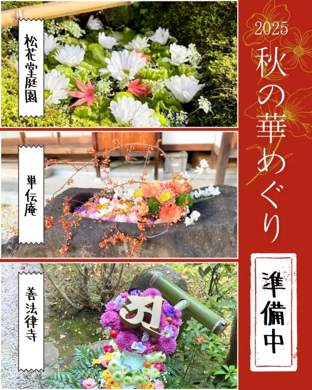 【準備中！花手水 松花堂庭園・単伝庵・善法律寺編】
いよいよ明日に迫った「京都やわたの紅葉満喫 秋の文化財一斉公開」。
八幡市内の9会場（石清水八幡宮、善法律寺、正法寺、飛行神社、神應寺、単伝庵、相槌神社、八角堂、松花堂庭園・美術館）では、特別拝観や文化財公開、限定朱印の授与などともに、「秋の華めぐり～花手水といけ花のおもてなし～」が11月29日(土)・30日(日)の2日間お楽しみいただけます。
写真は松花堂庭園・単伝庵・善法律寺の様子。
松花堂庭園では、茶室「松陰」前、茶室「梅隠」水琴窟前、この2日間特別公開の草庵「松花堂」前の三ヵ所でそれぞれ違う花手水を見ることができます。
単伝庵では、境内の各所で花手水や生け花が楽しめます。
善法律寺では、本堂中庭で花手水が楽しめます。
皆さまぜひお越しください。

◆秋の華めぐり2025 Instagramフォトキャンペーン◆
①八幡市観光協会@yawata.kankou をフォロー
②各会場で撮影した花手水や生け花の写真に『 #2025秋の華めぐり 』を付けて、ご自身のInstagramにご投稿ください！
③素敵な投稿はリポストさせていただきます。さらに抽選で10名様にオリジナルステッカーをプレゼント🎁

どしどしご応募くださいね😍

【期間】2025年11月29日㊏･30日㊐
【秋の文化財一斉公開・秋の華めぐり会場】
石清水八幡宮、善法律寺、正法寺、飛行神社、神應寺、単伝庵、相槌神社、八角堂、松花堂庭園美術館
※詳しくは、プロフィールページから八幡市観光協会のホームページをご覧ください。

@iwashimizuhachimangu_grace
@hikoujinjya1915
@hofukuji_jinnouji
@zenporitsuji
@aituti.kasugaginga_official
@shokado_garden_art_museum
@yawata_official

‪#文化財一斉公開
‪#石清水八幡宮
‪#善法律寺
‪#正法寺
‪#飛行神社‬‬‬‬‬
#神應寺
‪#八角堂
‪#単伝庵
‪#相槌神社
#松花堂庭園美術館
#紅葉
#八幡市
#八幡市観光協会
‪#京都
#kyoto
#京都やわた図鑑
#やわふぉと2025
#yawata
#kyoto_yawastagram
#kyotophoto
#japan
#discoveryourkyoto
